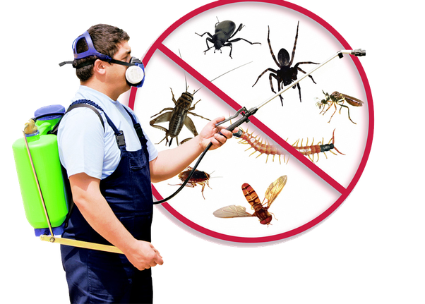 choosing the best pest controllers
